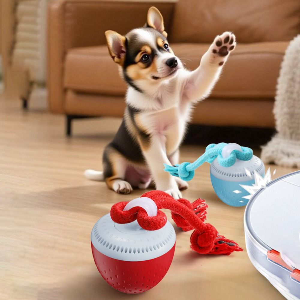 Automatic Moving Dog Ball - Bola Mainan Hewan Peliharaan Pintar Tahan