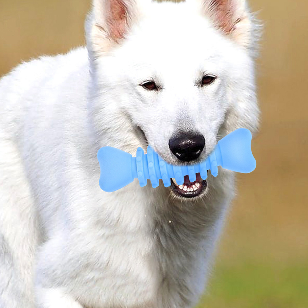 Teeth Cleaning Dog Chew Bone - 2 Buah Tulang Kunyah Molar Anjing