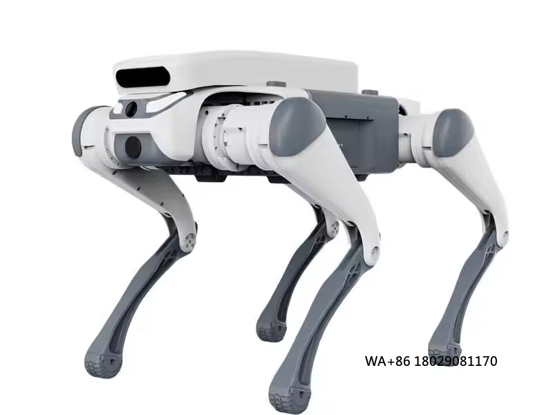 Dog Toys - Mainan edukatif kendali jarak jauh, robot