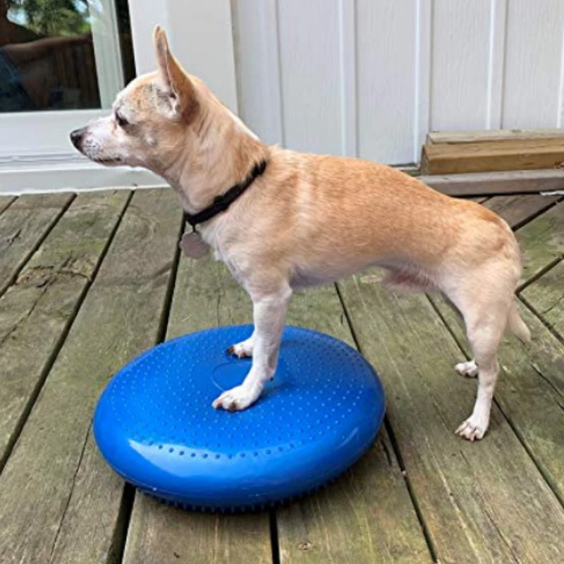 Flying Disc Dog Training Toy - Produk mainan latihan rehabilitasi hewan peliharaan,