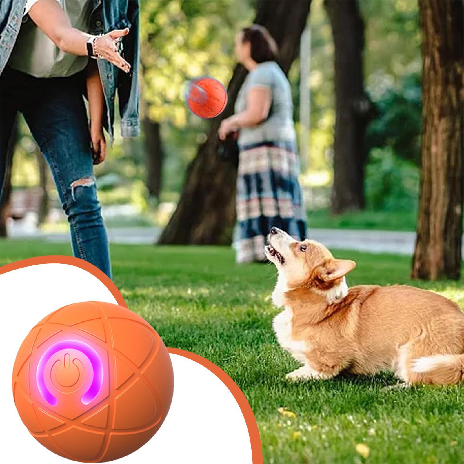 Automatic Moving Dog Ball - Mainan Anjing Interaktif Cerdas untuk Pengunyah