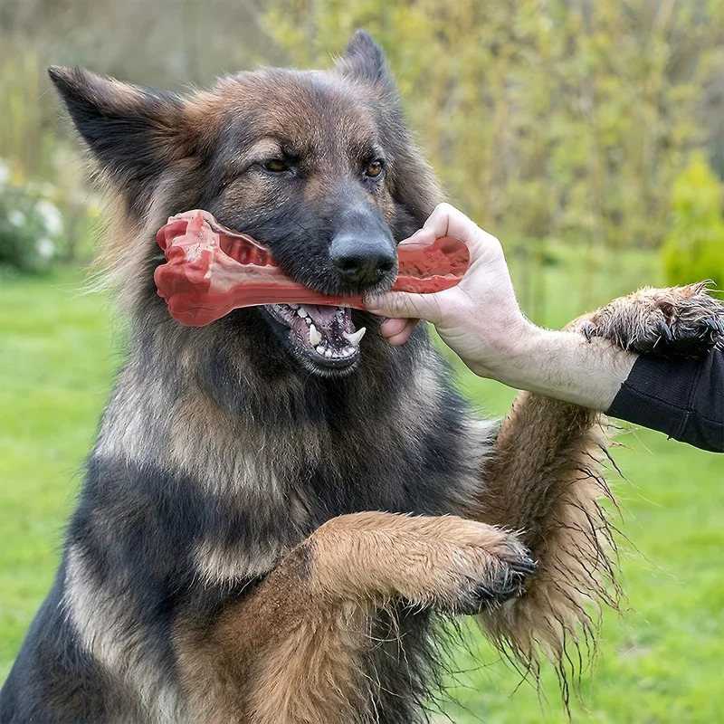 Teeth Cleaning Dog Chew Bone - Mainan Kunyah Anjing Super Kuat Tidak
