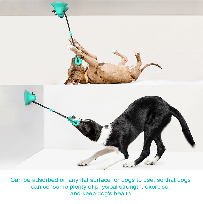Suction Cup Dog Tug Toy - Mainan Tali Gigit Anjing dengan Dua