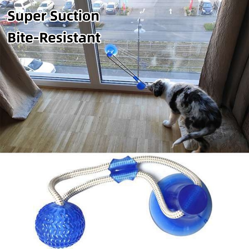 Suction Cup Dog Tug Toy - Mainan Tarik Anjing dengan Suction Cup