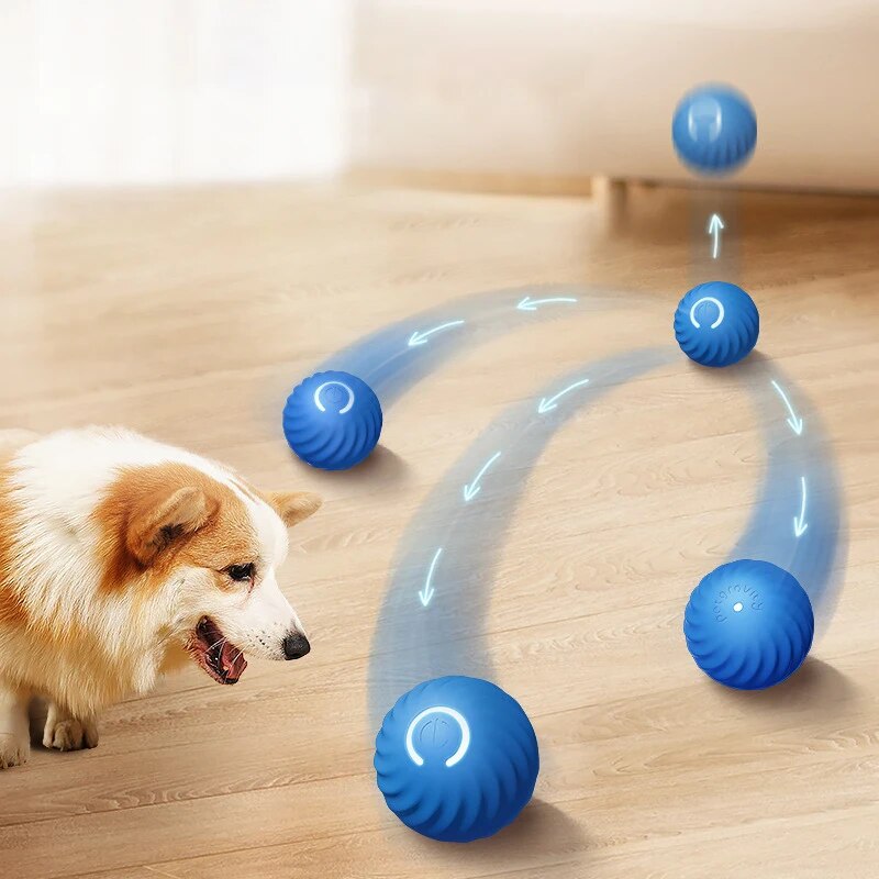 Suction Cup Dog Tug Toy - Mainan anjing bola lompat gravitasi cerdas,