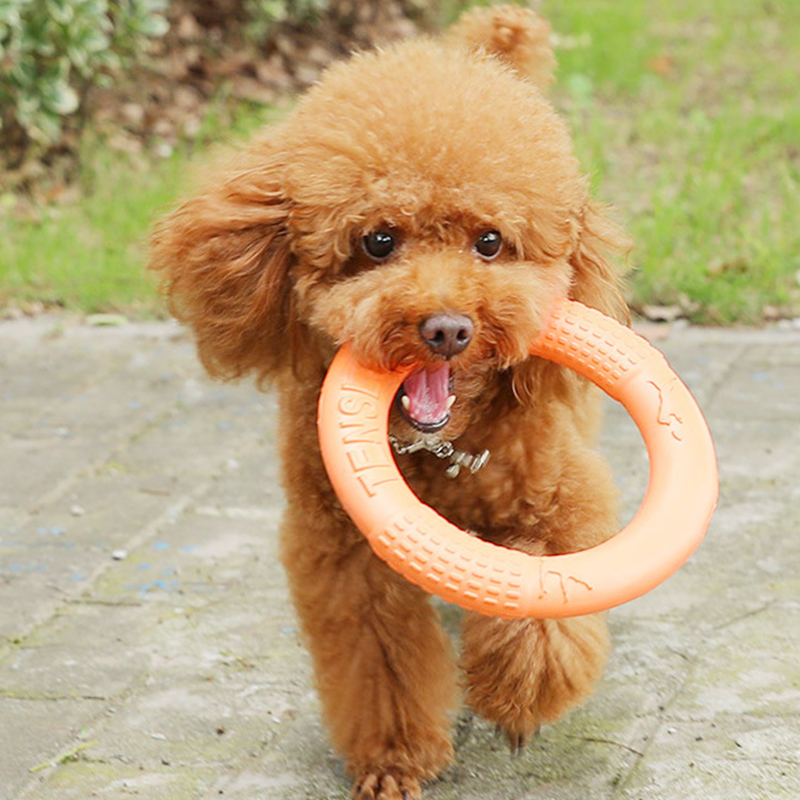 1 buah mainan anjing hewan pel - Suction Cup Dog Tug Toy ulasan dan harga