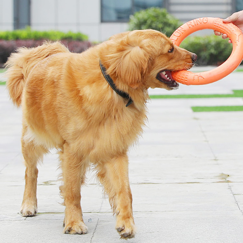 1 buah mainan anjing hewan pel - Suction Cup Dog Tug Toy ulasan dan harga
