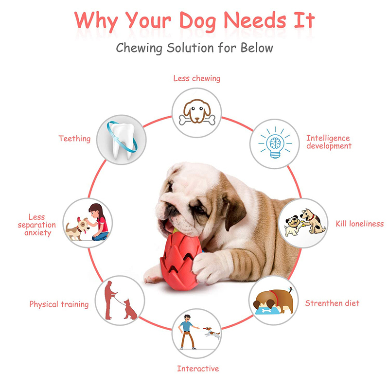 Benepaw Tidak Bisa Dihancurkan - Indestructible Dog Chew Toy ulasan dan harga