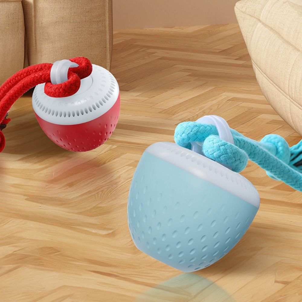 Bola Mainan Hewan Peliharaan P - Automatic Moving Dog Ball ulasan dan harga