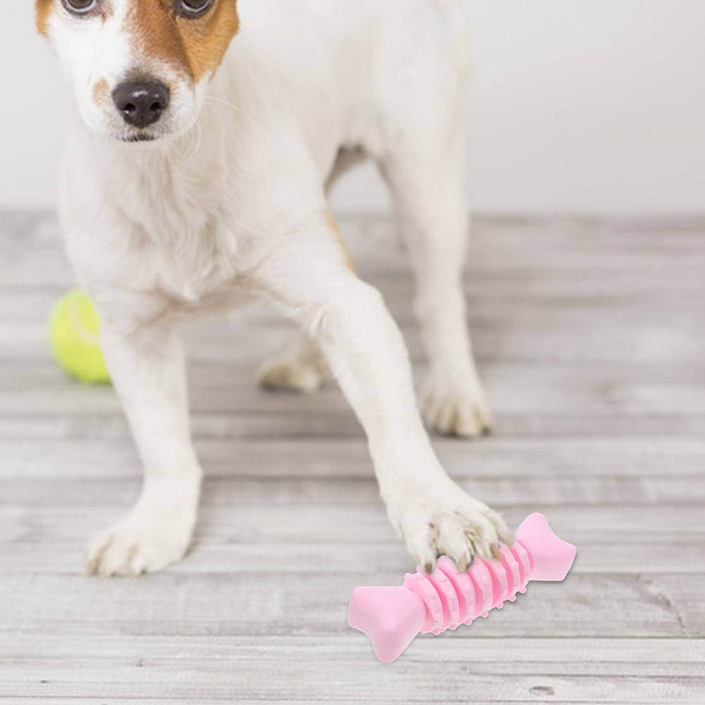 2 Buah Tulang Kunyah Molar Anj - Teeth Cleaning Dog Chew Bone ulasan dan harga