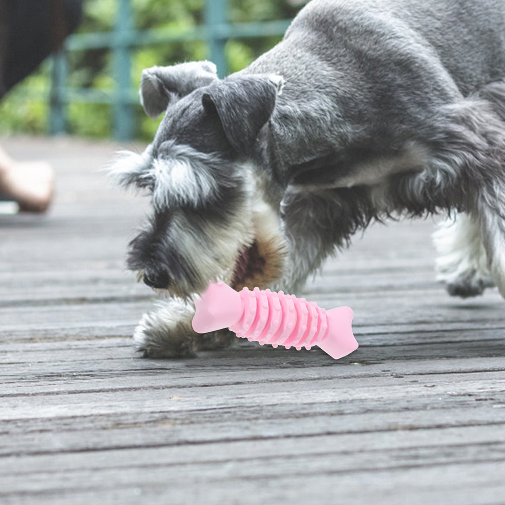 2 Buah Tulang Kunyah Molar Anj - Teeth Cleaning Dog Chew Bone ulasan dan harga