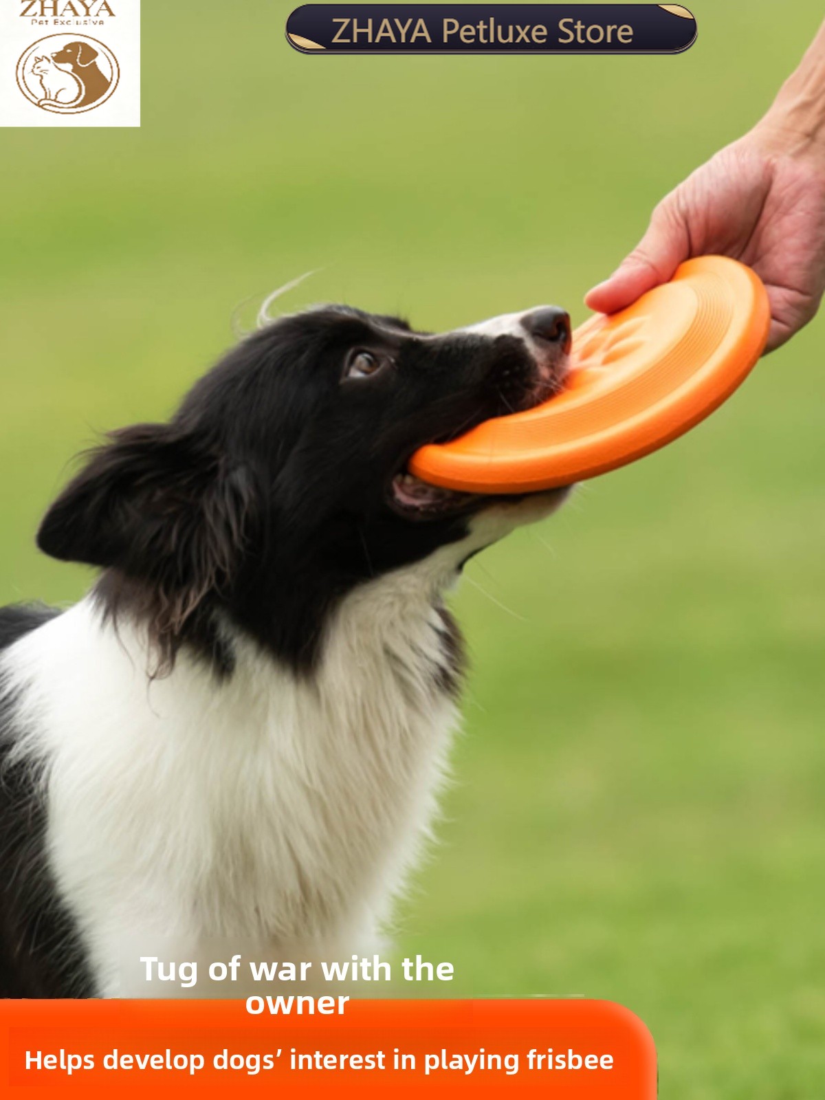 Diskus Terbang Anjing Lembut T - Flying Disc Dog Training Toy ulasan dan harga