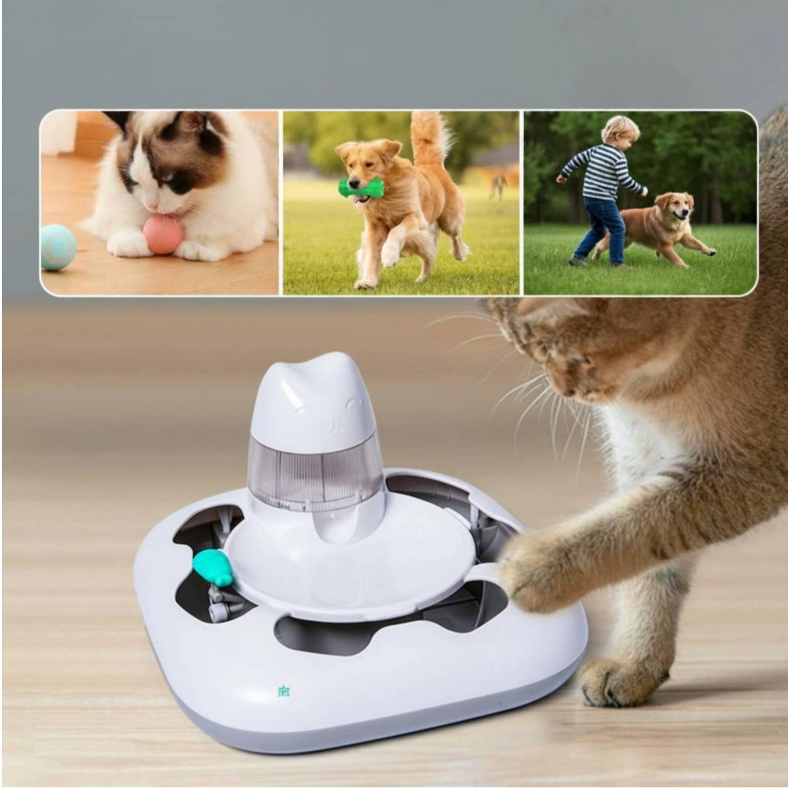 Mesin Permainan Berburu Kucing - Cat Toys ulasan dan harga