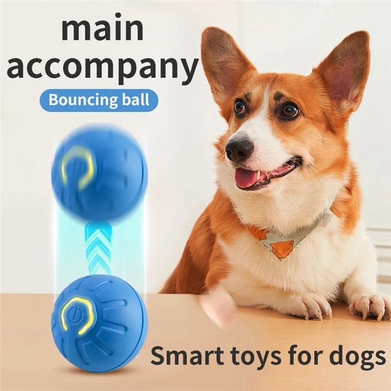 AT84-2PCS Bola Anjing Pintar E - Automatic Moving Dog Ball ulasan dan harga