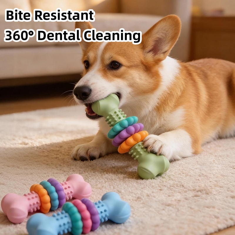 Mainan Kunyah Anjing TPR Tahan - Teeth Cleaning Dog Chew Bone ulasan dan harga