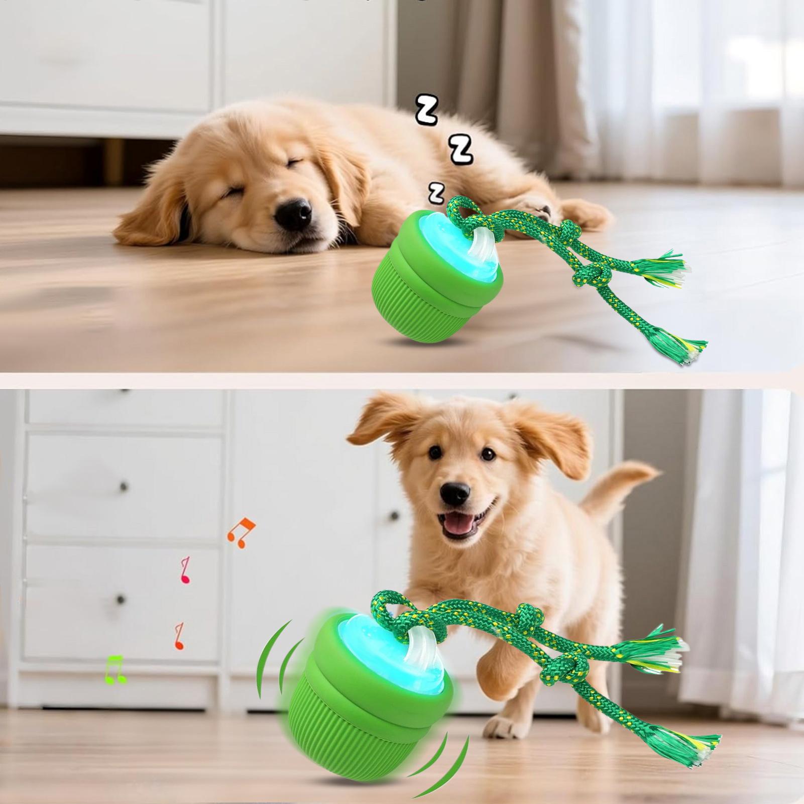 Bola Anjing Interaktif Otomati - Automatic Moving Dog Ball ulasan dan harga