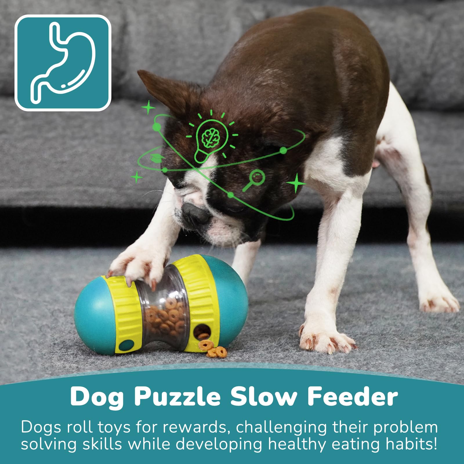 Mainan Anjing & Bola Pengumpan - Snuffle Mat For Dogs ulasan dan harga
