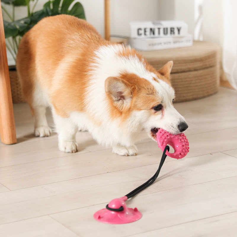 Mainan anjing mangkuk hisap si - Suction Cup Dog Tug Toy ulasan dan harga