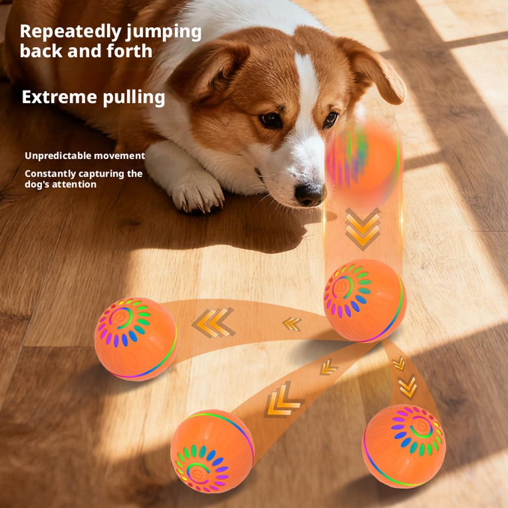 Bola Mainan Anjing Pintar Otom - Automatic Moving Dog Ball ulasan dan harga