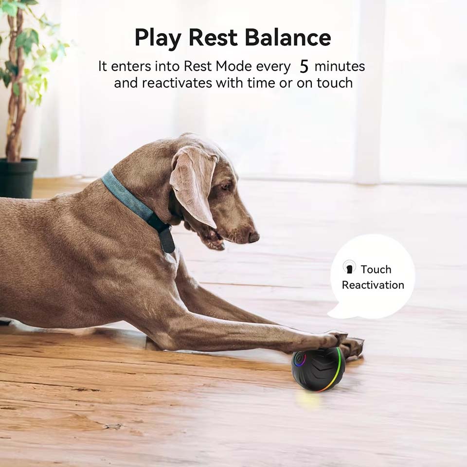 Bola Mainan Anjing Pintar Inte - Automatic Moving Dog Ball ulasan dan harga