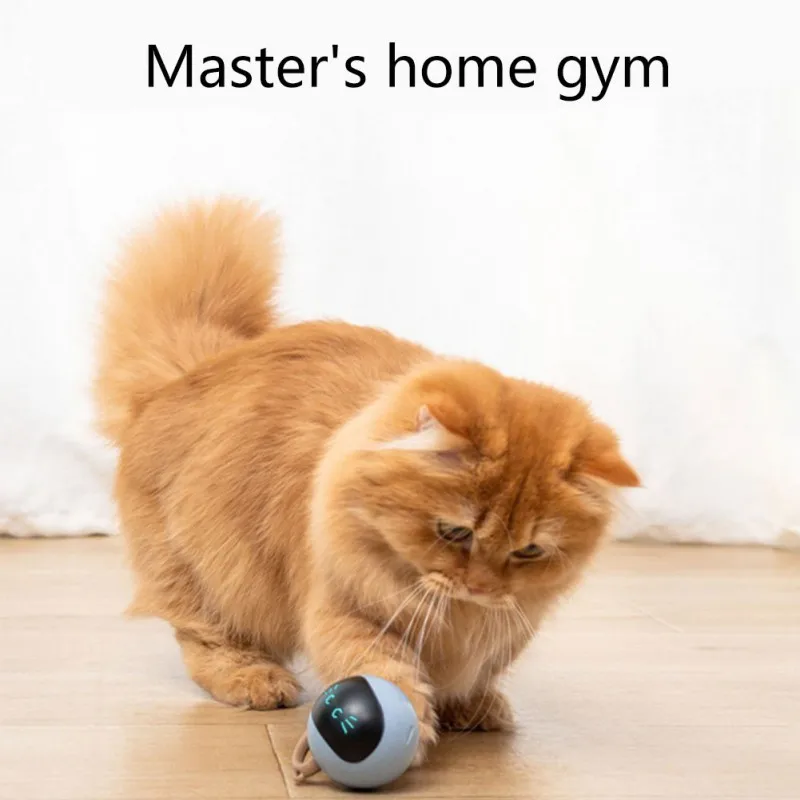Mainan Bola Kucing Interaktif  - Automatic Moving Dog Ball ulasan dan harga