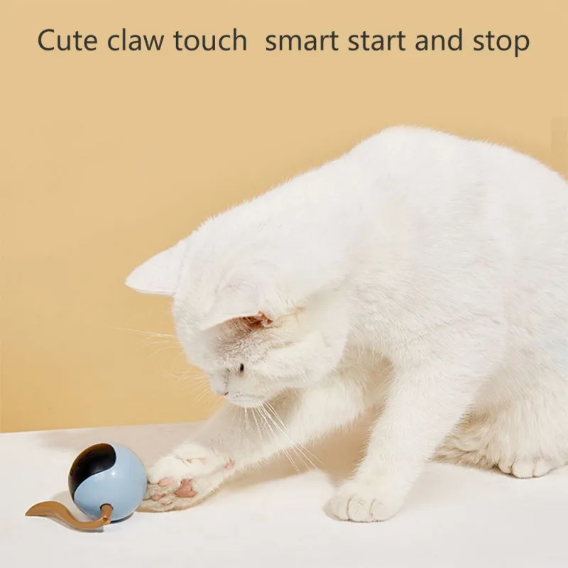 Mainan Bola Kucing Interaktif  - Automatic Moving Dog Ball ulasan dan harga