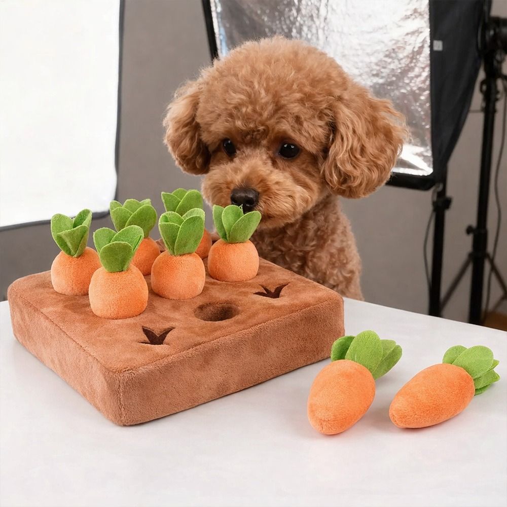 Alas Snuffle Wortel Penghilang - Snuffle Mat For Dogs ulasan dan harga