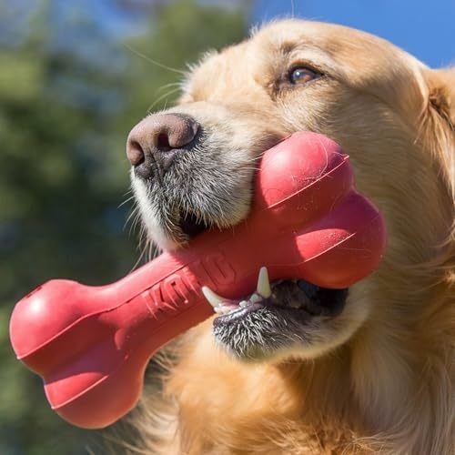 Tulang Anjing Karet Alami Klas - Rubber Treat Dispensing Dog Toy ulasan dan harga
