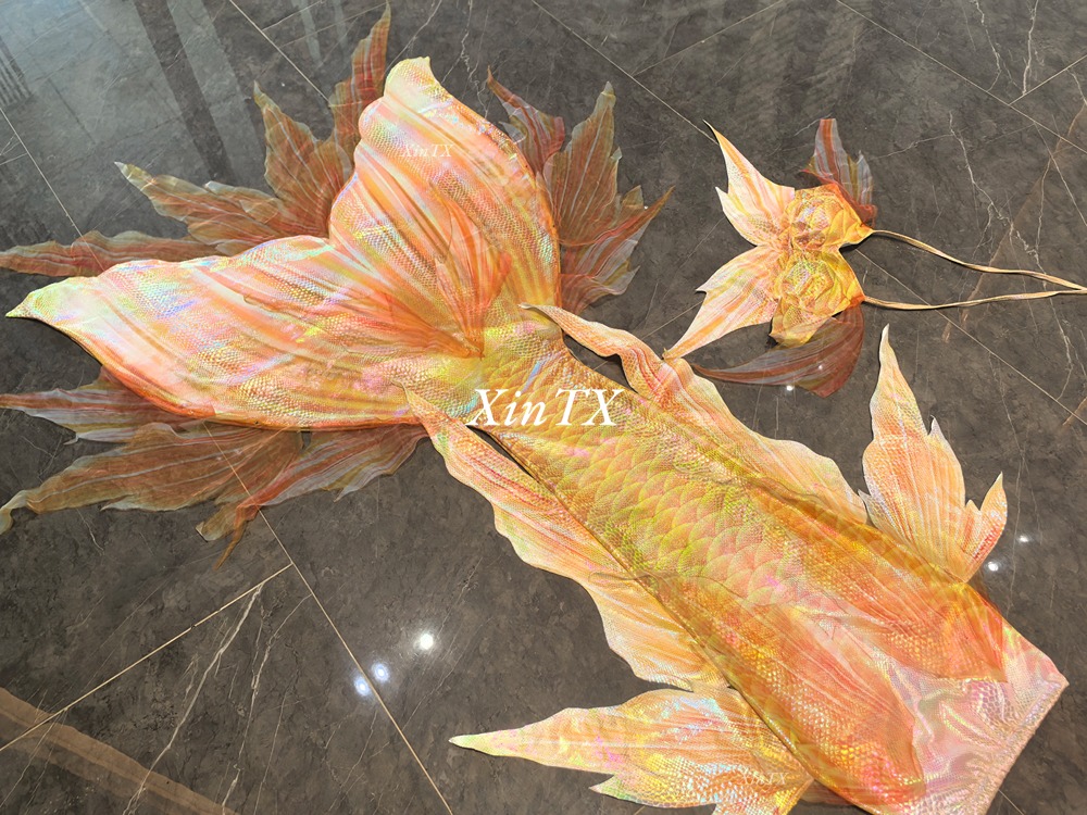Profesional Dewasa Ekor Putri  - Aquarium ulasan dan harga