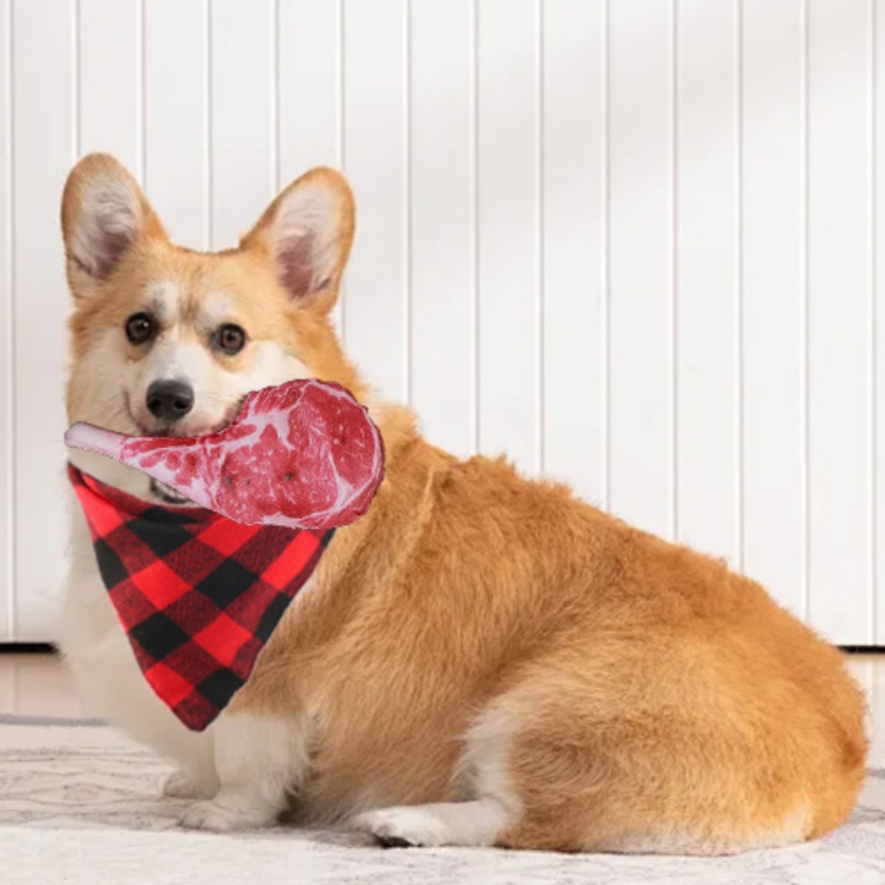Mainan Anjing Simulasi Steak B - Teeth Cleaning Dog Chew Bone ulasan dan harga