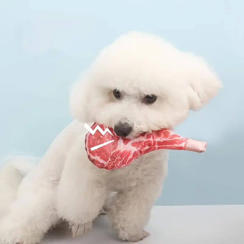 Mainan Anjing Simulasi Steak B - Teeth Cleaning Dog Chew Bone ulasan dan harga