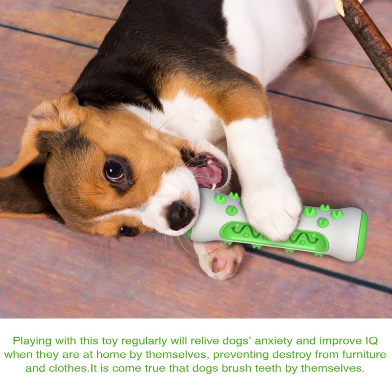 Tongkat Gigit Anjing Peliharaa - Teeth Cleaning Dog Chew Bone ulasan dan harga
