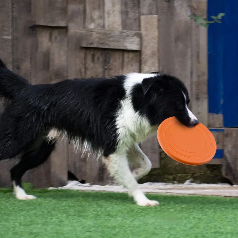 Piring terbang silikon mainan  - Flying Disc Dog Training Toy ulasan dan harga