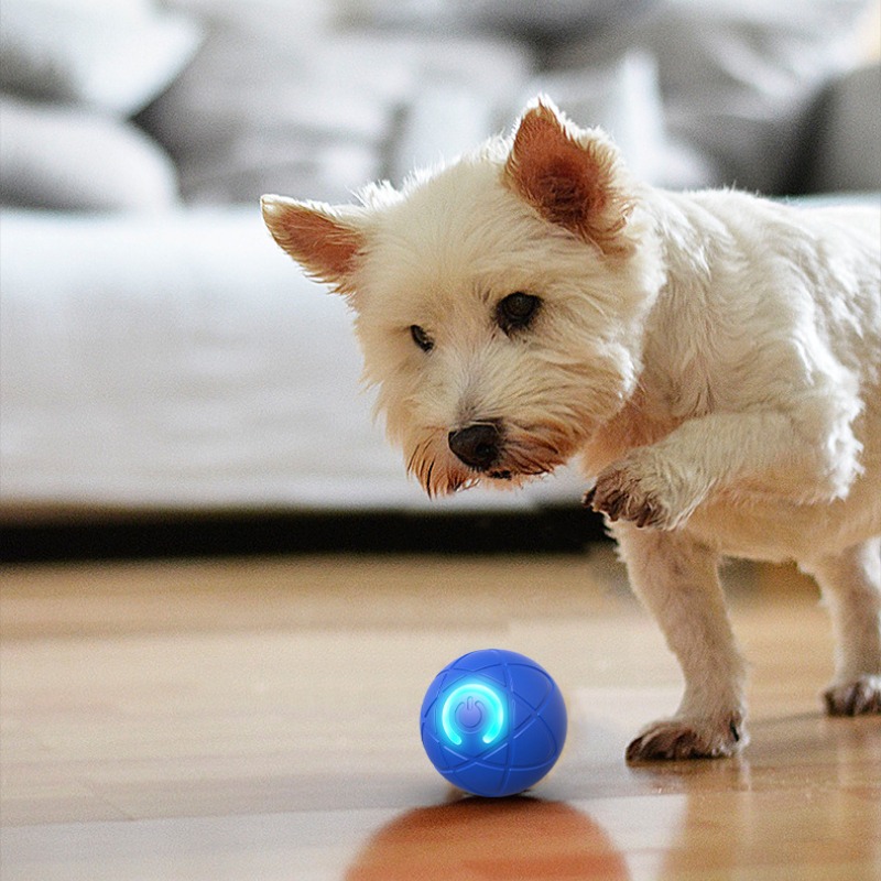 Bola mainan anjing pintar USB  - Suction Cup Dog Tug Toy ulasan dan harga
