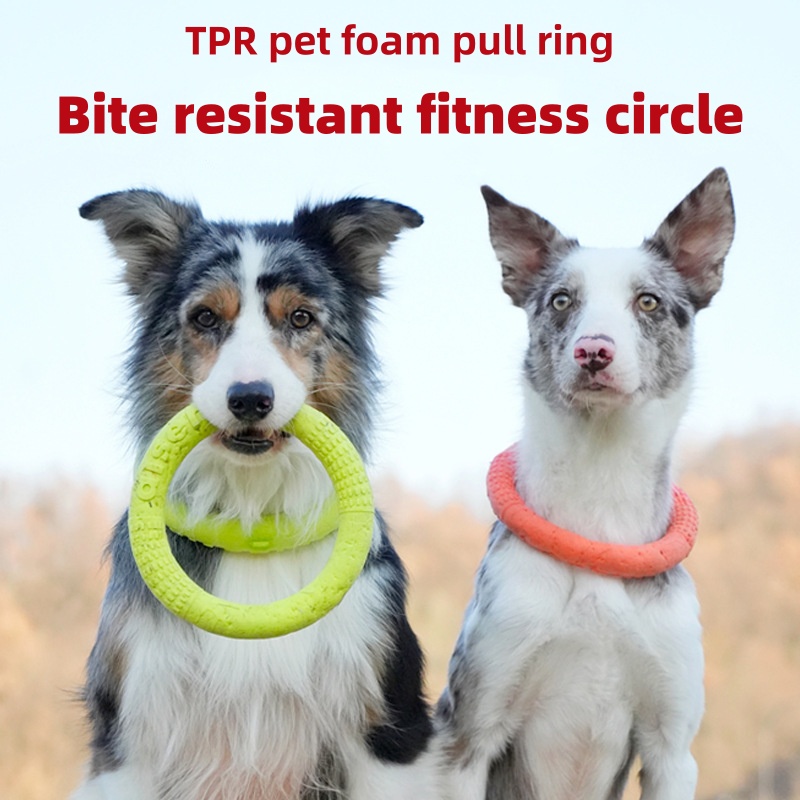 Mainan Anjing Terapung Anti Ai - Flying Disc Dog Training Toy ulasan dan harga
