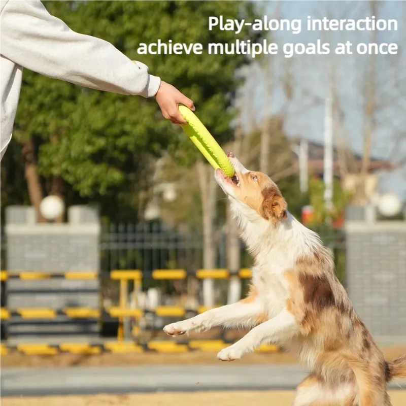 Mainan Anjing Terapung Anti Ai - Flying Disc Dog Training Toy ulasan dan harga