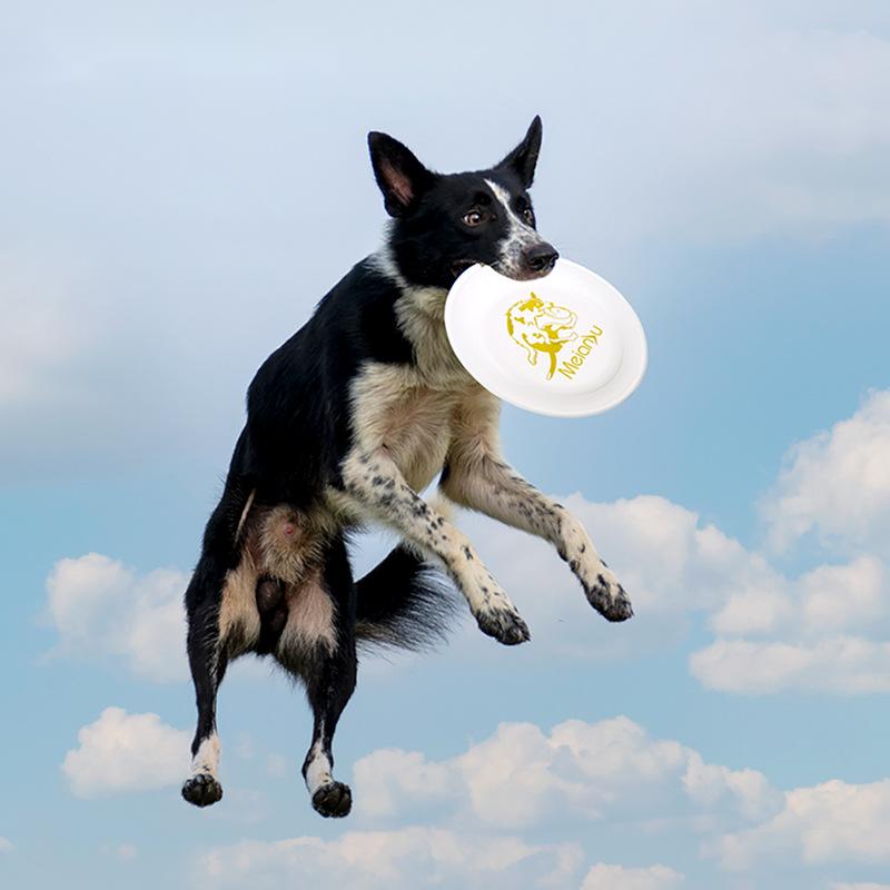 OUZEY mainan cakram terbang ta - Flying Disc Dog Training Toy ulasan dan harga