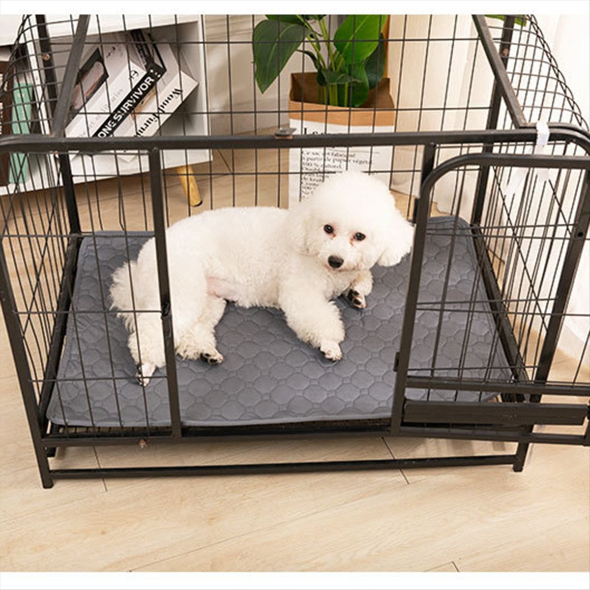 Selimut A14E yang Dapat Diguna - Pet Beds ulasan dan harga
