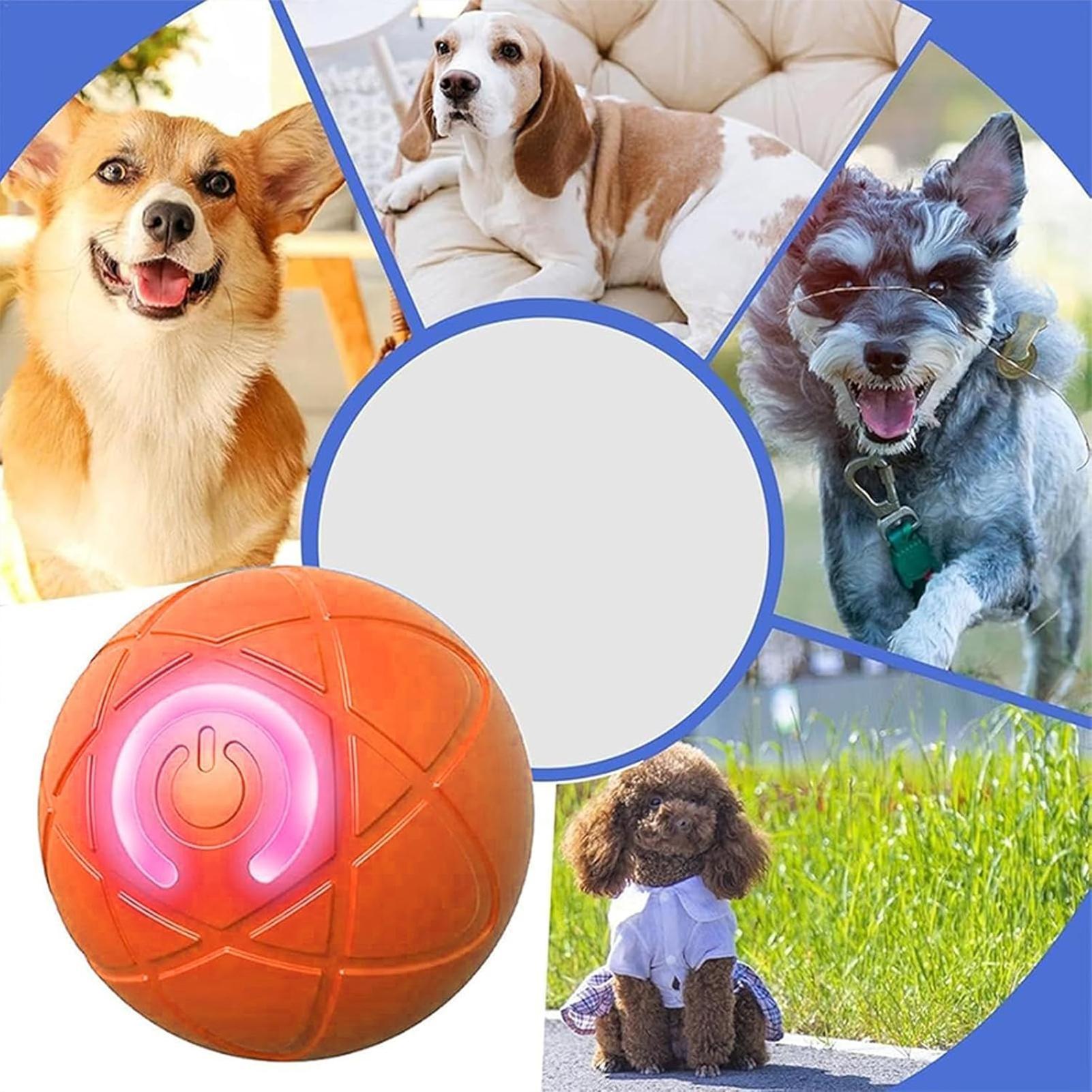 Mainan Anjing Pintar Bola Elek - Automatic Moving Dog Ball ulasan dan harga