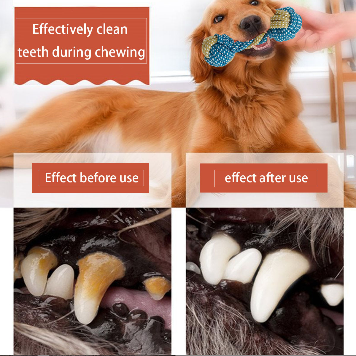 Mainan Tali Kunyah Anjing 7 Bu - Teeth Cleaning Dog Chew Bone ulasan dan harga
