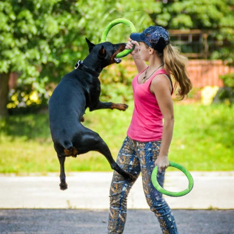 Mainan anjing hewan peliharaan - Suction Cup Dog Tug Toy ulasan dan harga