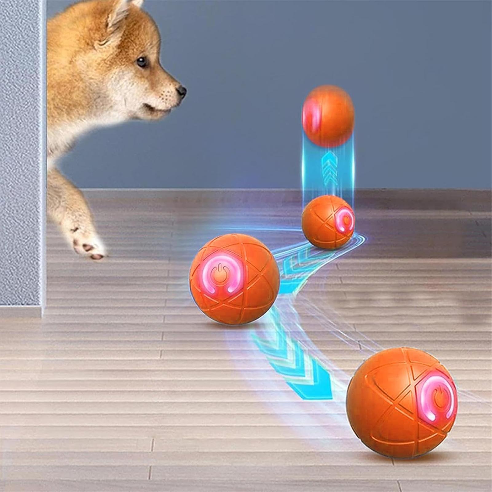 1 Buah Bola Mainan Hewan Pelih - Automatic Moving Dog Ball ulasan dan harga