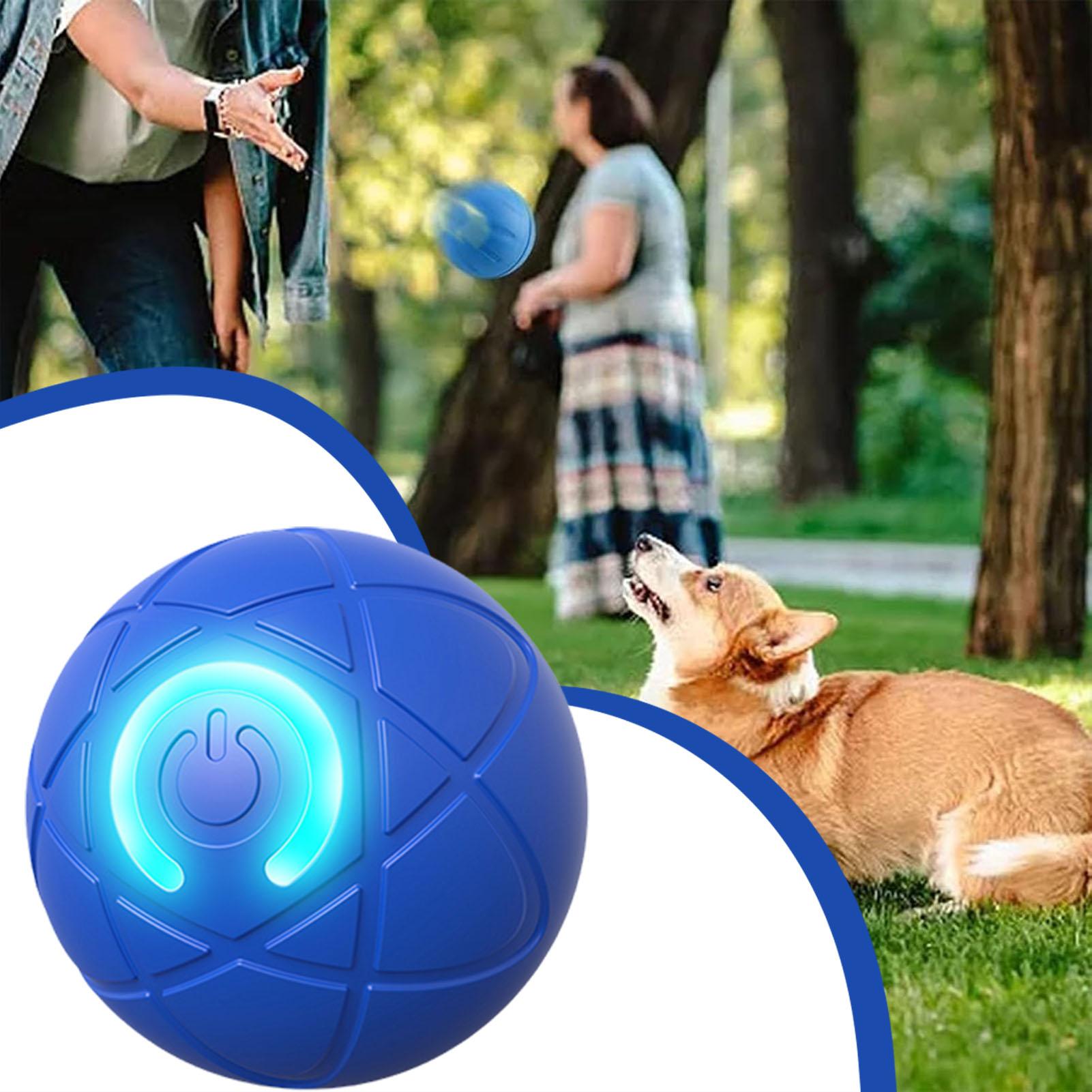 1 Buah Bola Mainan Hewan Pelih - Automatic Moving Dog Ball ulasan dan harga