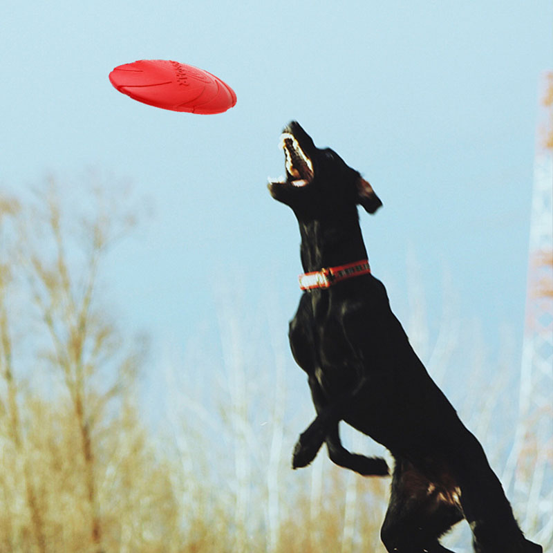 Mainan Piring Cakram Terbang A - Flying Disc Dog Training Toy ulasan dan harga