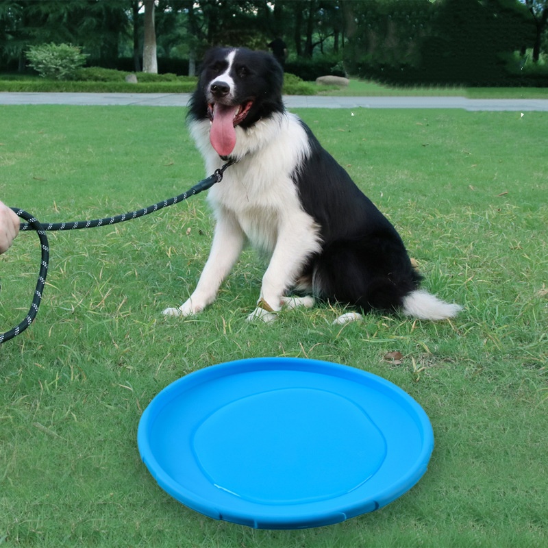 Mainan Piring Terbang Silikon  - Flying Disc Dog Training Toy ulasan dan harga