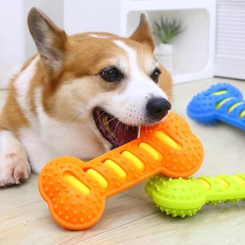 Mainan Kunyah Anjing Karet Tah - Teeth Cleaning Dog Chew Bone ulasan dan harga