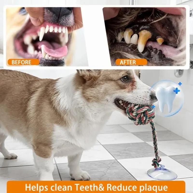 Mainan Kunyah Anjing Aman yang - Suction Cup Dog Tug Toy ulasan dan harga