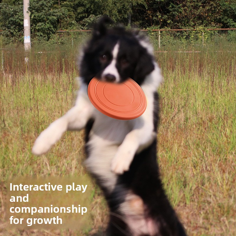 Mainan Anjing Terapung Tahan G - Flying Disc Dog Training Toy ulasan dan harga