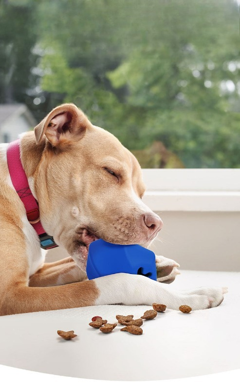 Mainan Dispenser Camilan Anjin - Rubber Treat Dispensing Dog Toy ulasan dan harga