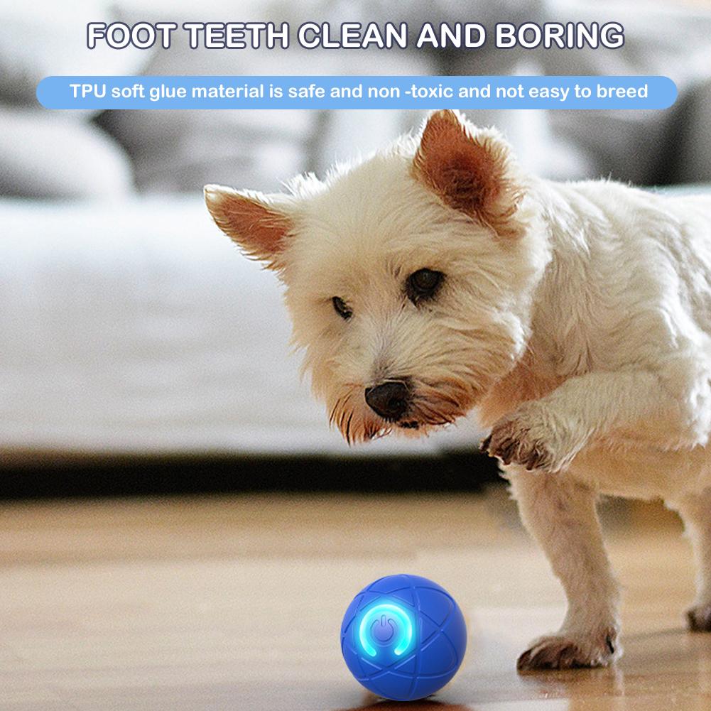Mainan Hewan Peliharaan Intera - Automatic Moving Dog Ball ulasan dan harga